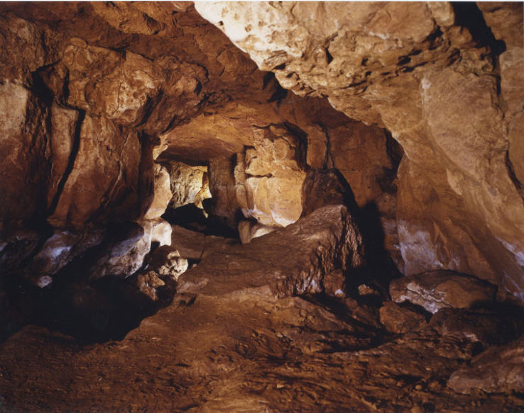 Cave of Altamira Trip Packages