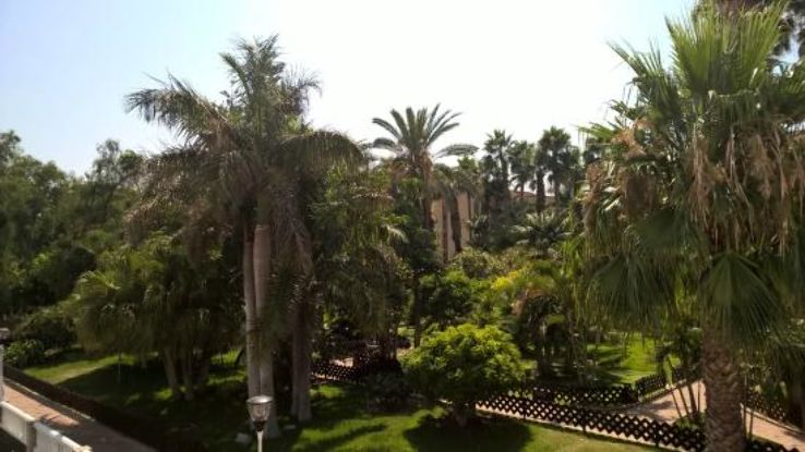 Parque Botanico El Majuelo Trip Packages