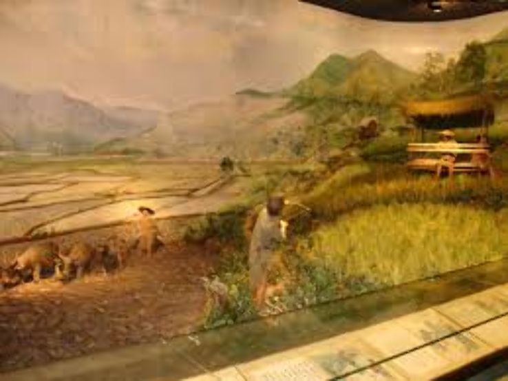 Hainan Museum Trip Packages