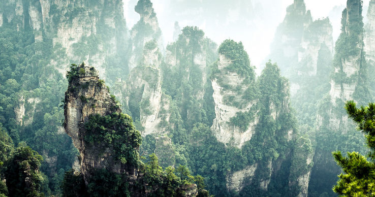Zhangjiajie National Forest Park Trip Packages