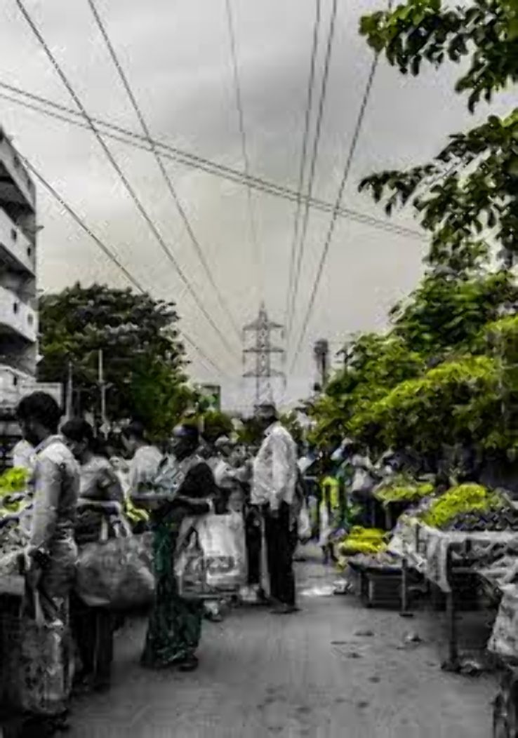 Sunday Market Trip Packages