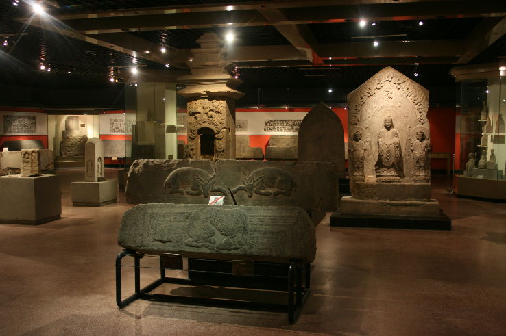 Shandong Museum Trip Packages