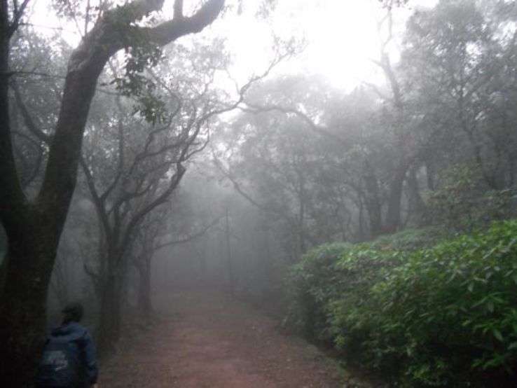 Best matheran Tour Package for 3 Days 2 Nights