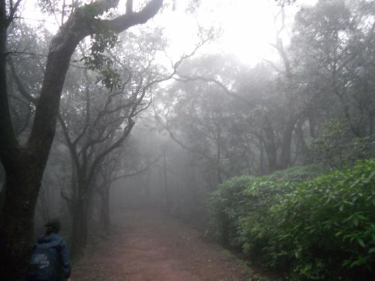 Magical 2 Days 1 Night Matheran Romantic Vacation Package