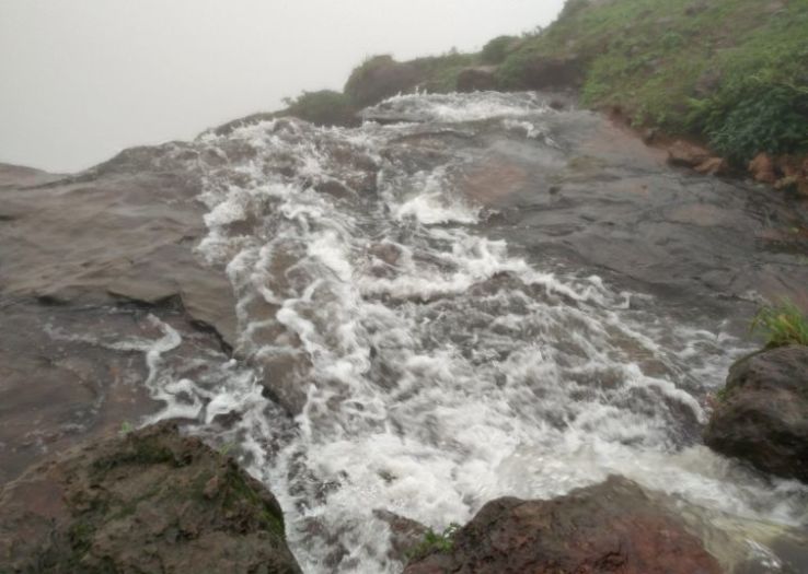 Belvedere Point Trip Packages