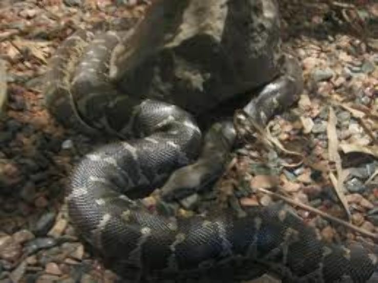 Magical Pune Tour Package for 4 Days from 14999