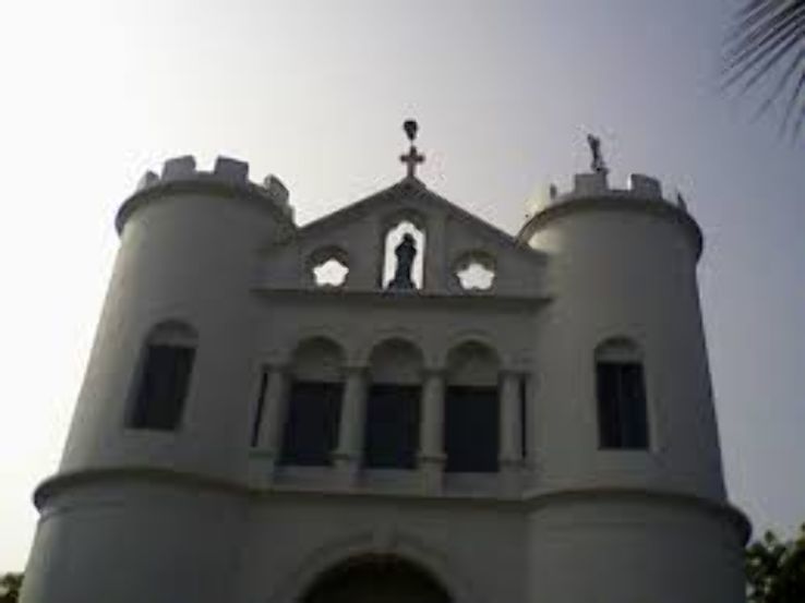 Ross Hill Trip Packages