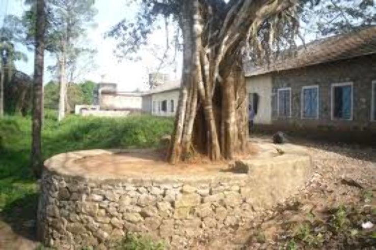 Government Museum Trip Packages