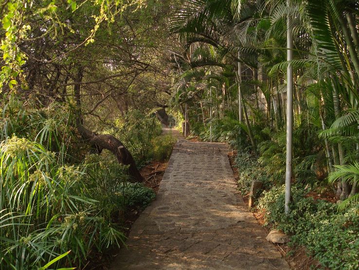 Lotus Pond Trip Packages