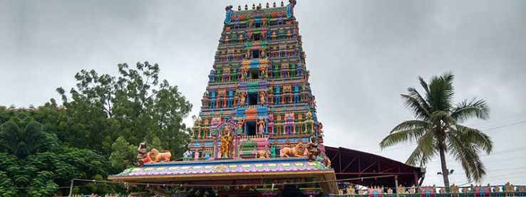 Sri Peddamma Thalli Temple Trip Packages