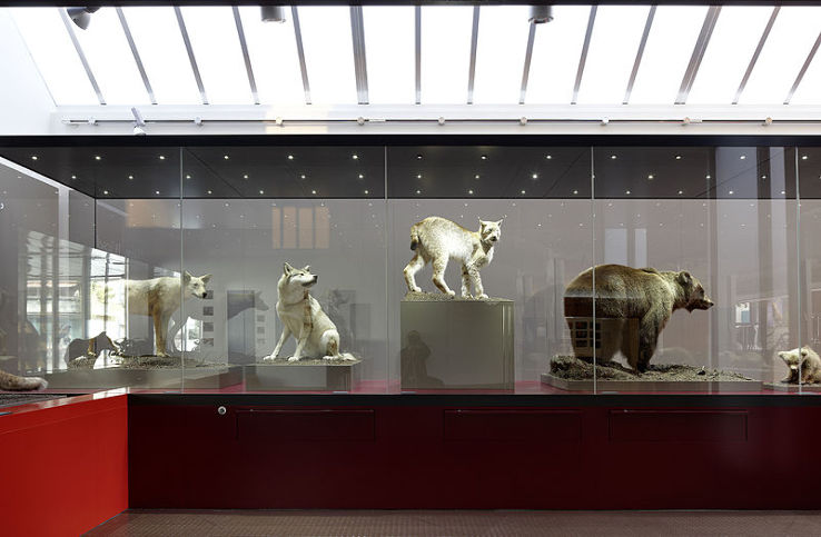 Bundner Naturmuseum Trip Packages