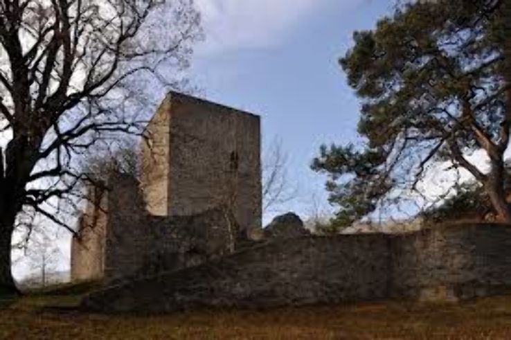 Tellenburg Castle Trip Packages
