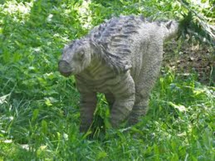 Aargau Jura Park Trip Packages