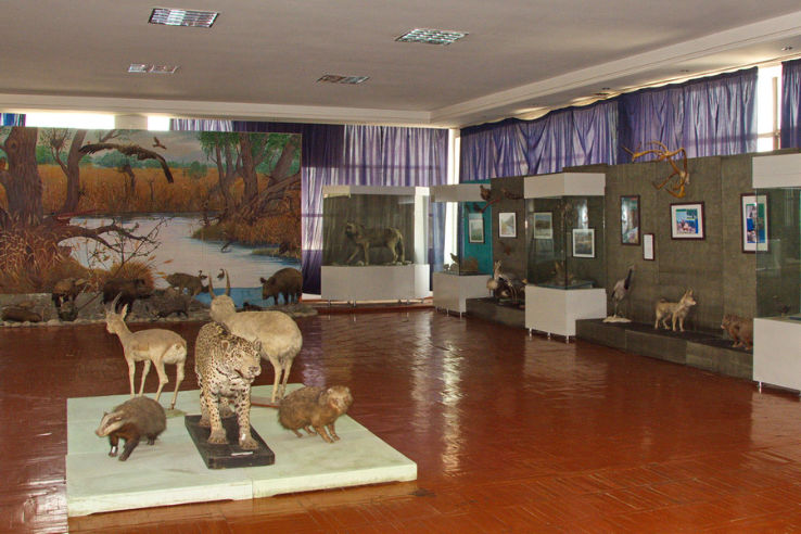 Andijan Regional Museum Trip Packages