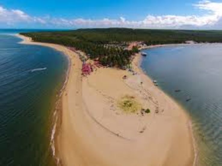 Praia do Gunga  Trip Packages