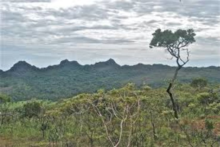 Cocalzinho de Goias Trip Packages