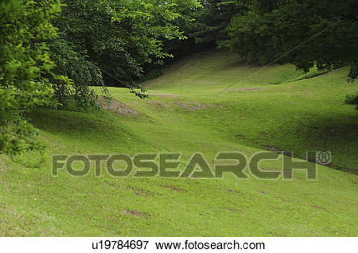 Sakura Castle ruins Park Trip Packages