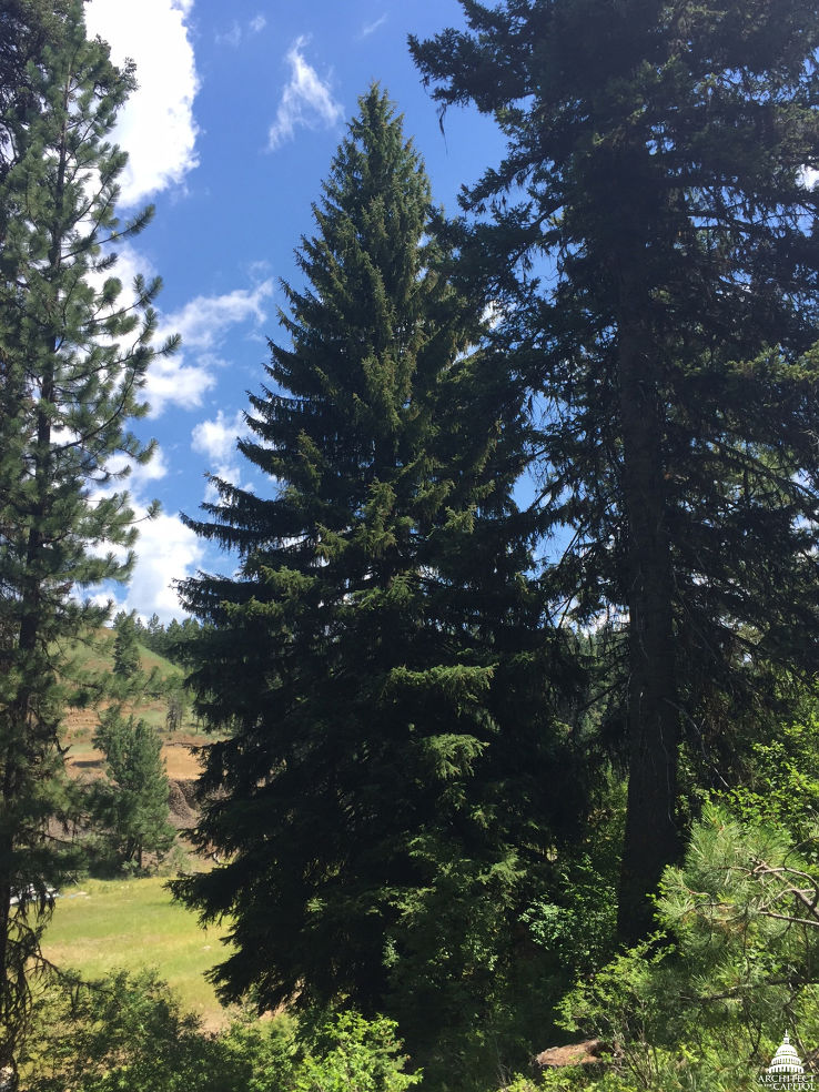 Payette National Forest  Trip Packages