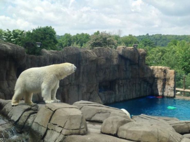 Pittsburgh Zoo and PPG Aquarium Trip Packages