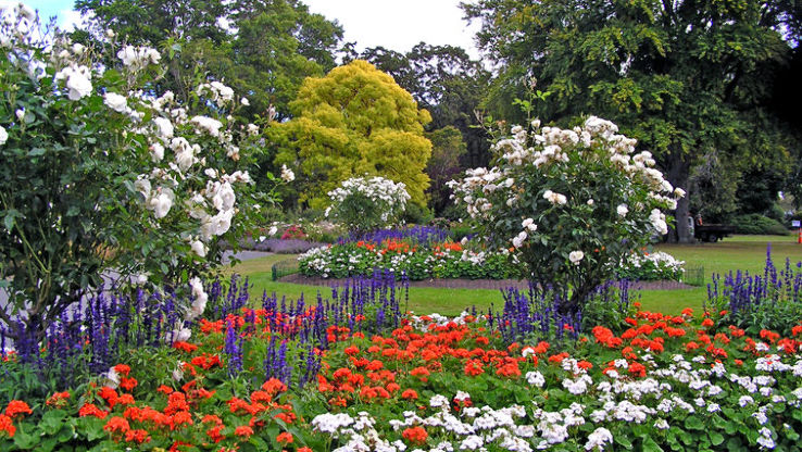 Dunedin Botanic Garden Trip Packages