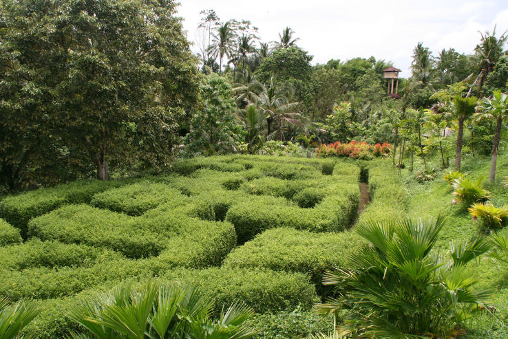 Family Getaway Bali Nature Tour Package for 3 Days 2 Nights