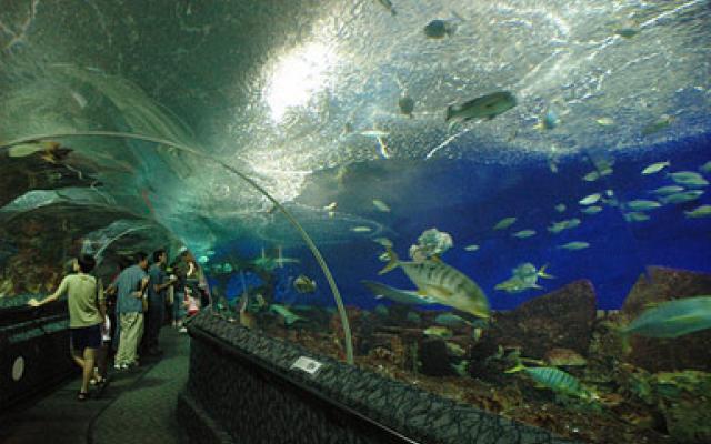Underwater World Trip Packages