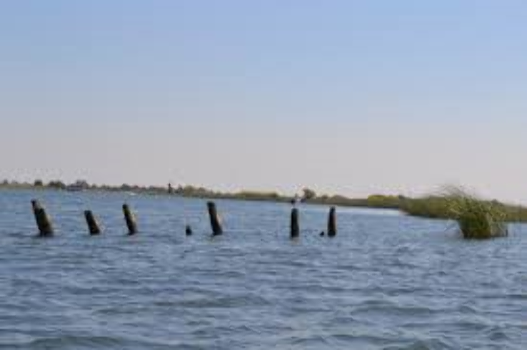 Oakley Trip Packages