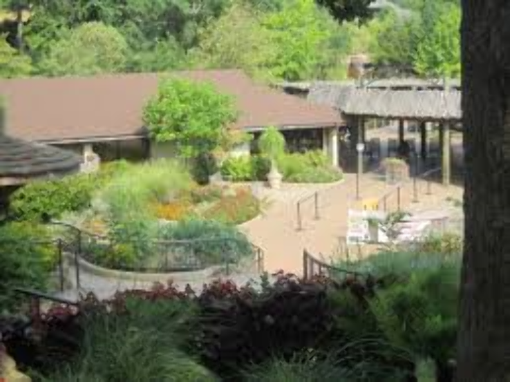 caldwell-zoo-2021-1-top-things-to-do-in-tyler-texas-reviews-best