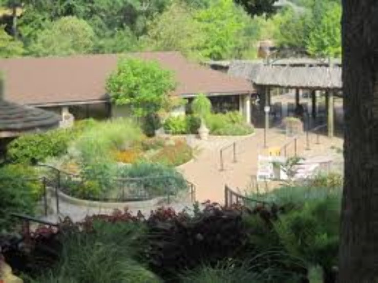 Caldwell Zoo Trip Packages