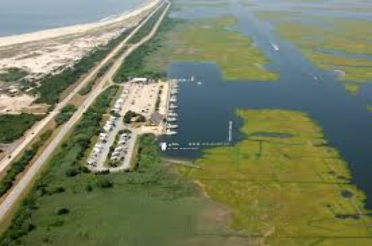 Cedar Beach Trip Packages