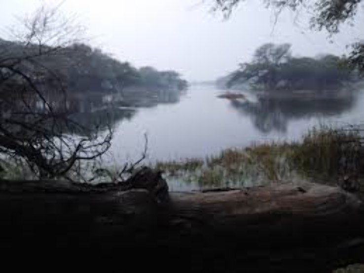 Sultanpur National Park and Bird Sanctuary Trip Packages