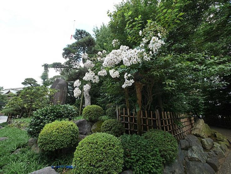 Samukawa Shrine Trip Packages