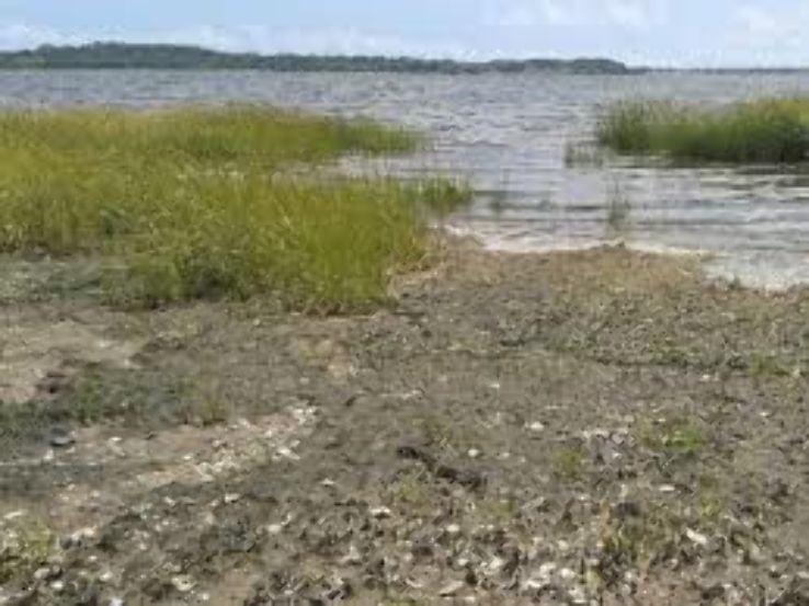 Long Wharf nature reserve  Trip Packages