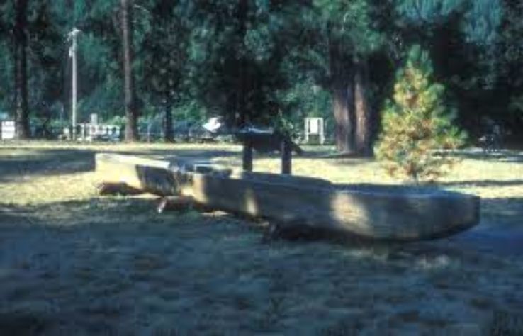 Nez Perce National Historical Park  Trip Packages