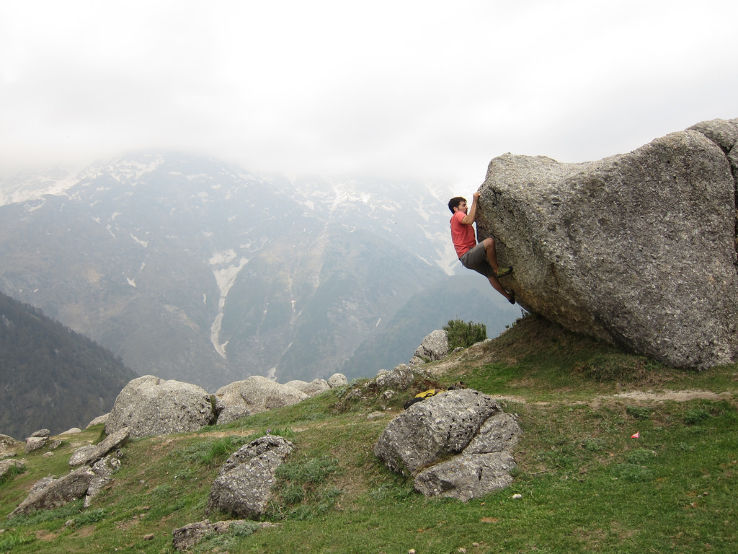 Triund Hill  Trip Packages