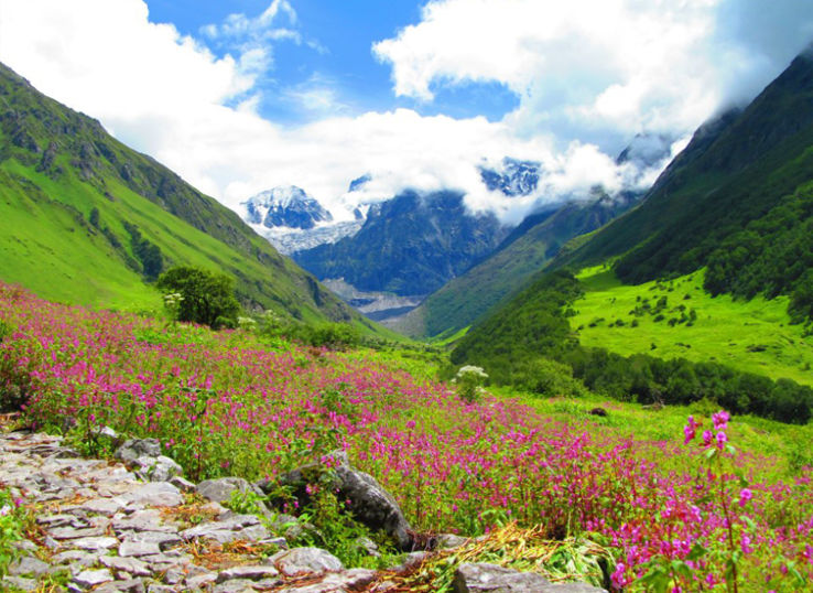 Valley of Flowers Trip Packages