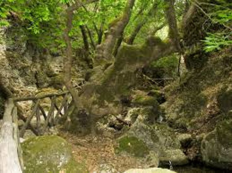 Valley of the Butterflies Trip Packages