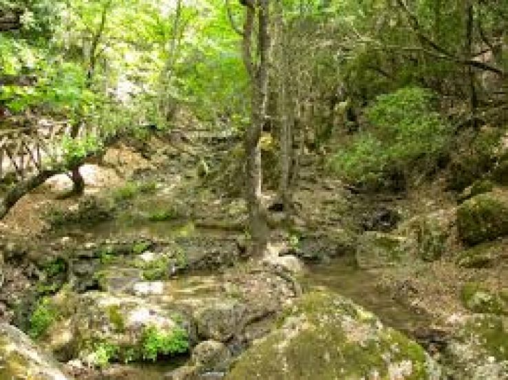 Valley of the Butterflies Trip Packages