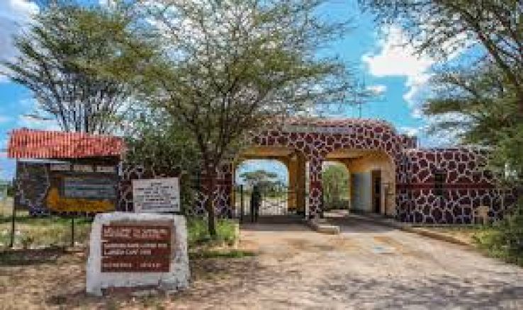 Shaba National Reserve Trip Packages