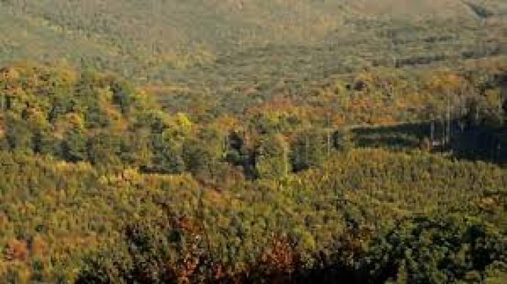 Dobogoko Trip Packages Dobogoko Trip Packages