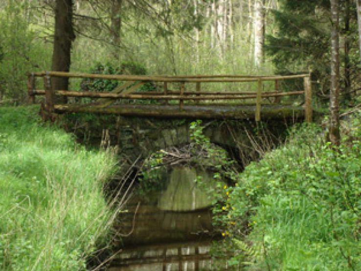 Rossmoor Forest Park Trip Packages