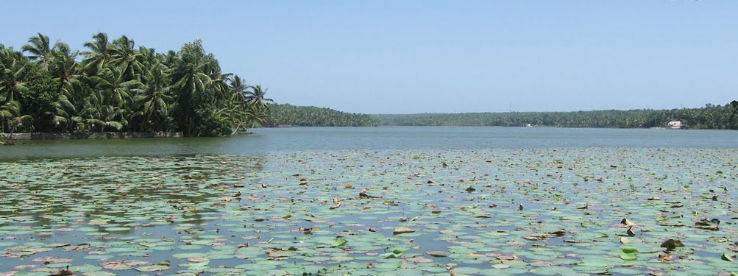 Vellayani Lake Trip Packages
