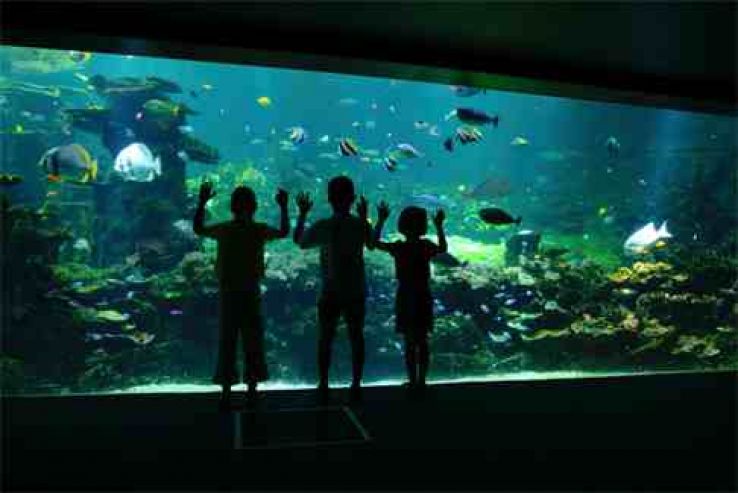 Nausicaa Centre National de la Mer Trip Packages