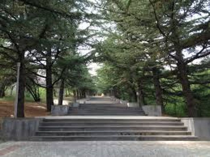 Mtatsminda Park Trip Packages