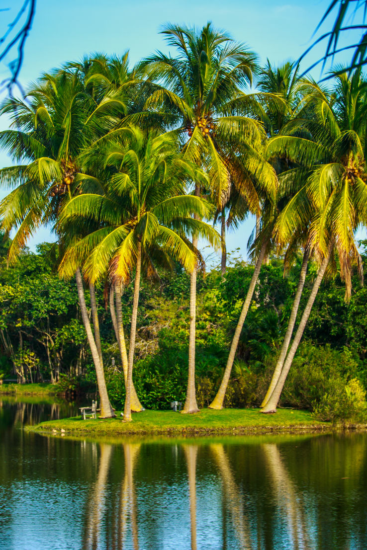 Heart-warming 3 Days 2 Nights Miami Vacation Package