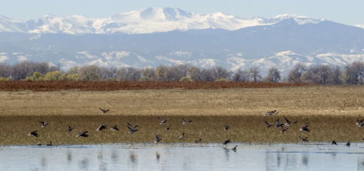 Commerce Trip Packages