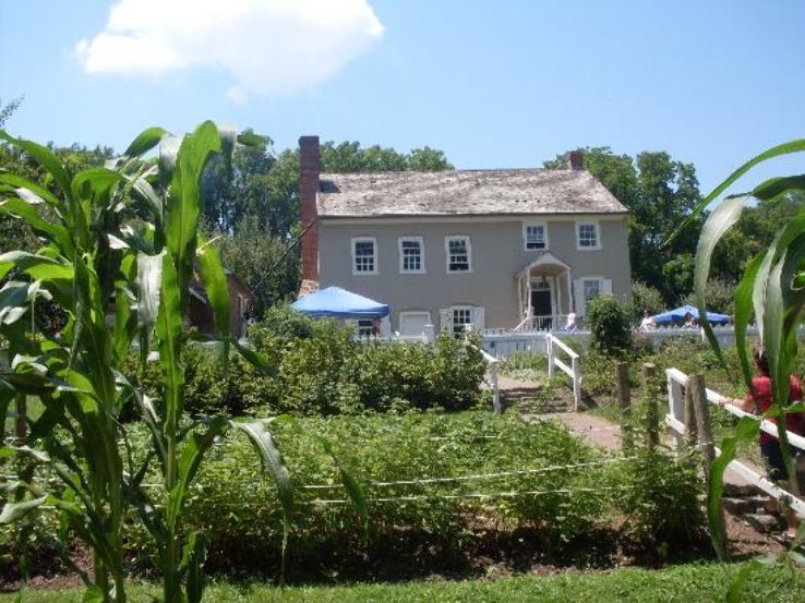 The Burnside plantation Trip Packages