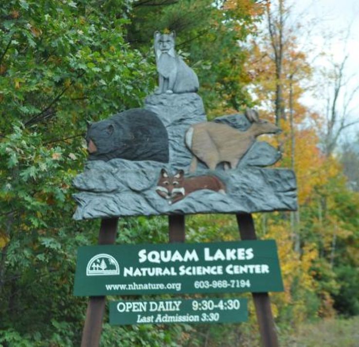 Squam Lakes Natural Science Center Trip Packages