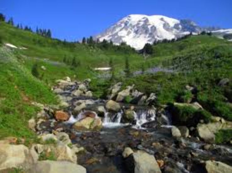 Mount Rainier National Park Trip Packages