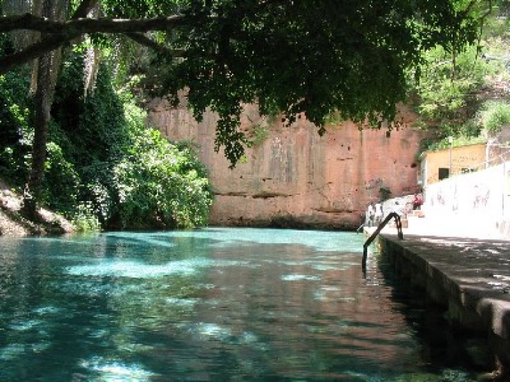 Yankari National Park Trip Packages